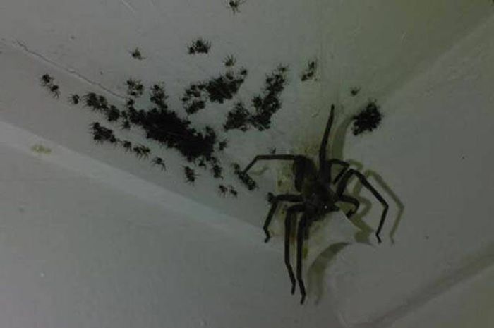 If You Try To Explain These Photos You're Going To Have A Bad Time (33 pics)