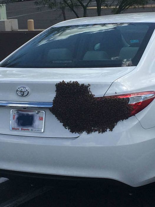 If You Try To Explain These Photos You're Going To Have A Bad Time (33 pics)