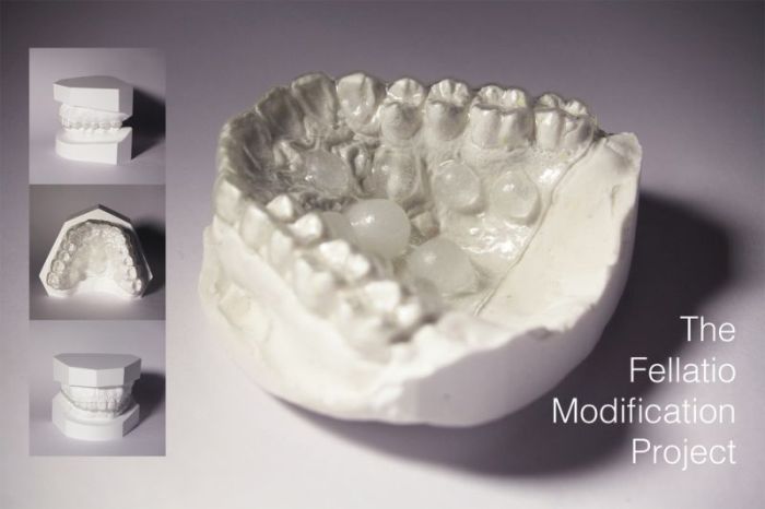 Dentist Creates A Prothesis Designed To Enhance Blowjobs (5 pics)