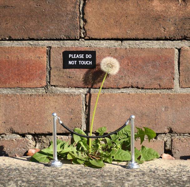 Sydney Artist Leaves Unusual Signs Around The City (16 pics)