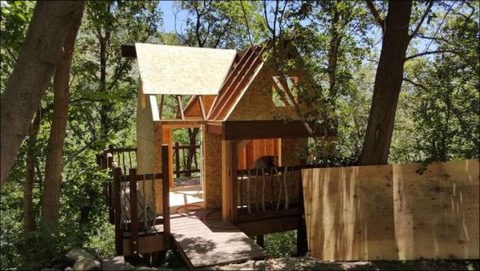 You're Going To Want To Live In This Epic Tree House (78 pics)