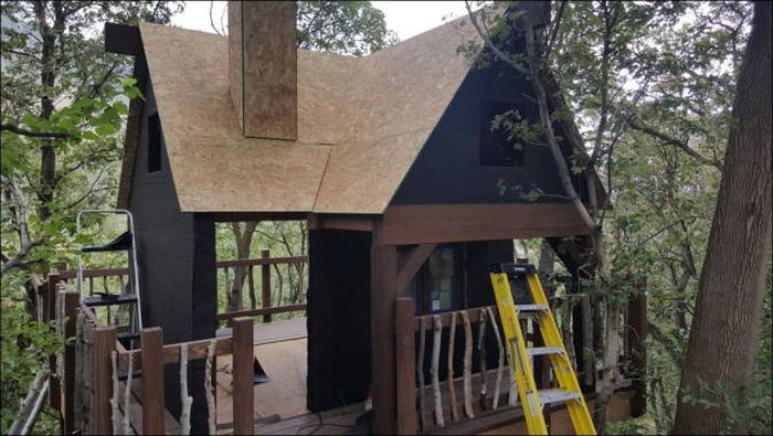 You're Going To Want To Live In This Epic Tree House (78 pics)
