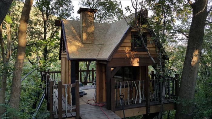You're Going To Want To Live In This Epic Tree House (78 pics)