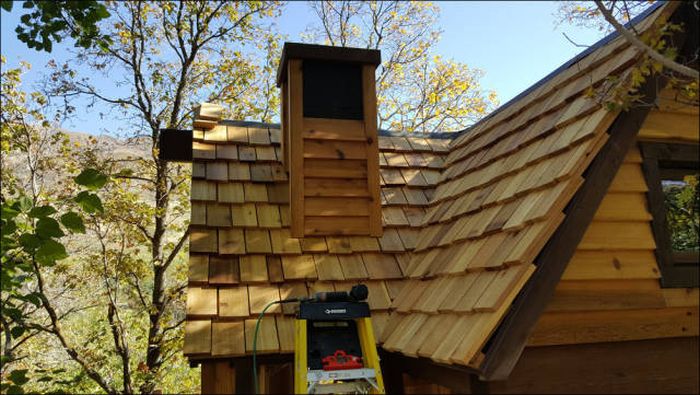 You're Going To Want To Live In This Epic Tree House (78 pics)
