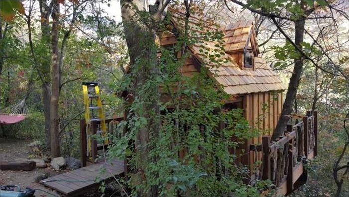 You're Going To Want To Live In This Epic Tree House (78 pics)