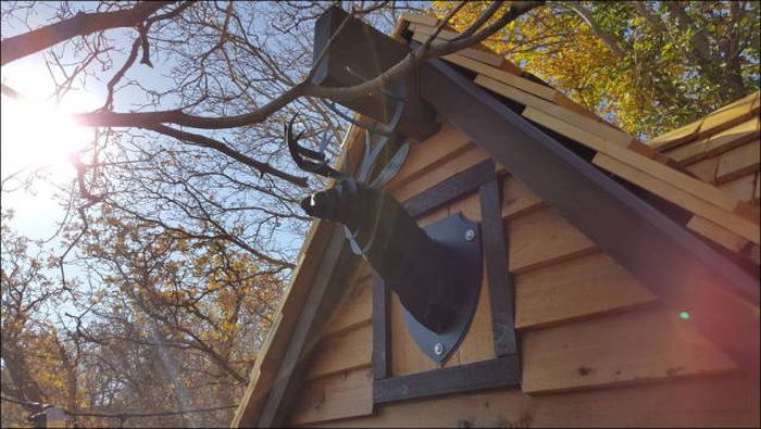 You're Going To Want To Live In This Epic Tree House (78 pics)