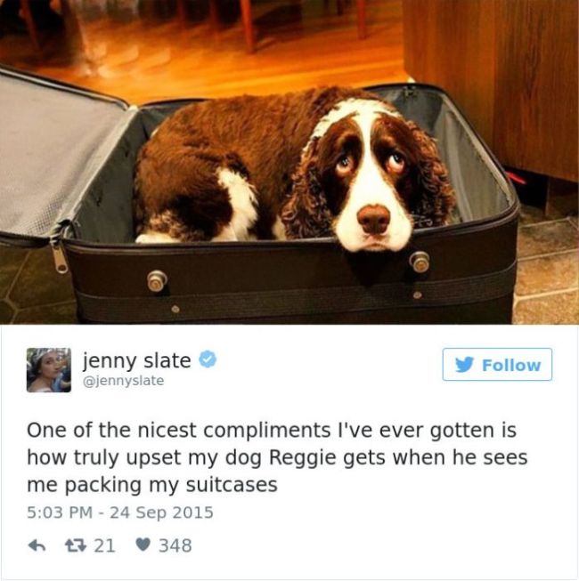 The Best Dog Tweets That The Internet Has To Offer (35 pics)