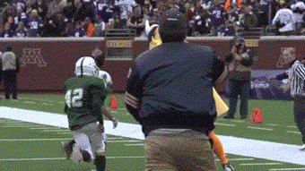 Mascots Take On Football Players In Awesomely Amusing Gifs (17 gifs)