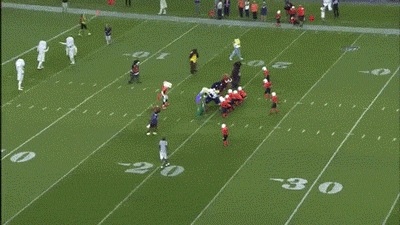 Mascots Take On Football Players In Awesomely Amusing Gifs (17 gifs)