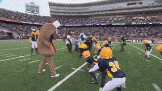 Mascots Take On Football Players In Awesomely Amusing Gifs (17 gifs)
