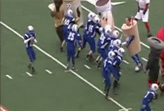 Mascots Take On Football Players In Awesomely Amusing Gifs (17 gifs)