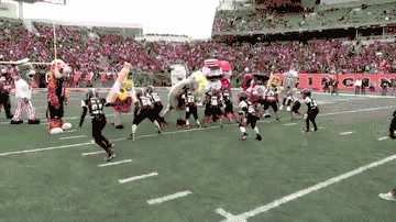 Mascots Take On Football Players In Awesomely Amusing Gifs (17 gifs)
