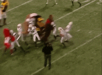 Mascots Take On Football Players In Awesomely Amusing Gifs (17 gifs)