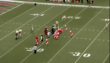 Mascots Take On Football Players In Awesomely Amusing Gifs (17 gifs)