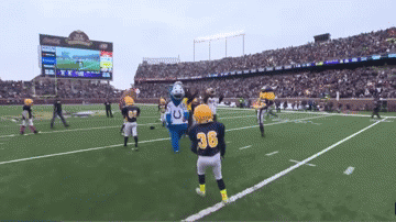 Mascots Take On Football Players In Awesomely Amusing Gifs (17 gifs)
