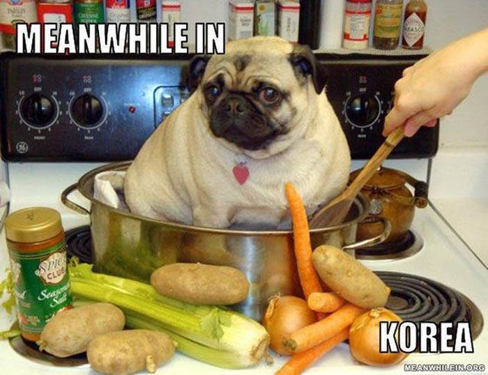 Meanwhile, In Strange Locations Around The World (40 pics)