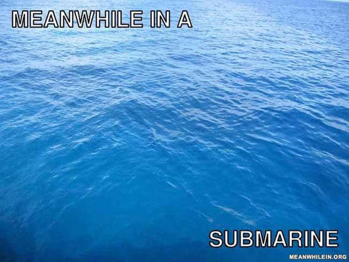 Meanwhile, In Strange Locations Around The World (40 pics)