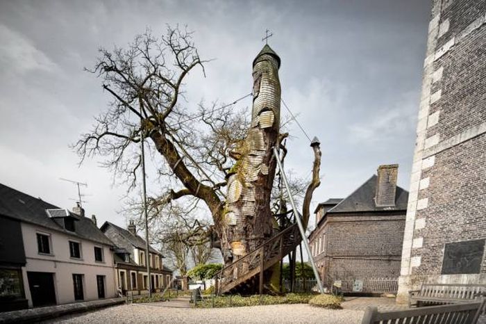 Never Forget That Our World Is A Beautiful Place (40 pics)