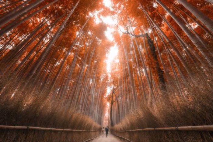 Never Forget That Our World Is A Beautiful Place (40 pics)