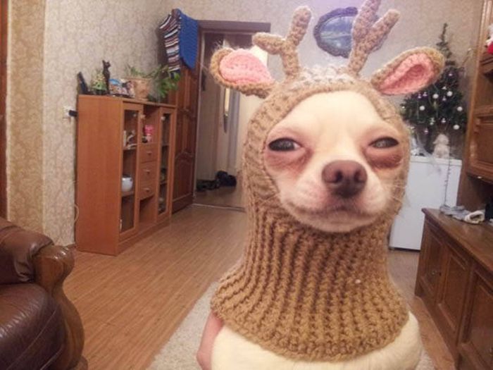 Acid Picdump (99 pics)