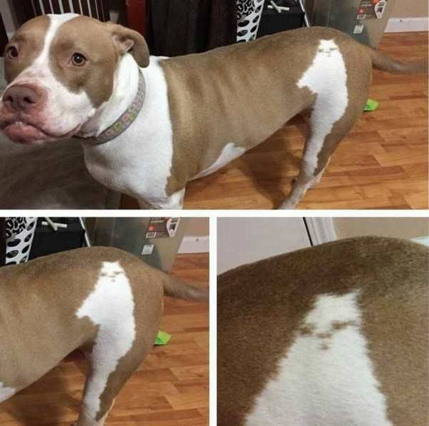 Acid Picdump (99 pics)