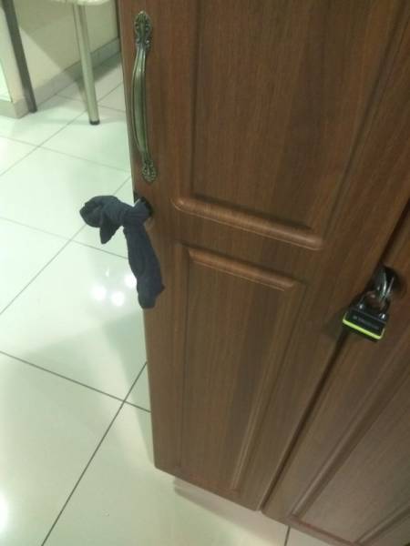 Acid Picdump (99 pics)
