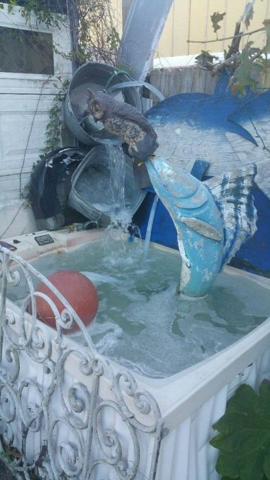 A Large Serving Of Nope With An Extra Side Of Nope (40 pics)