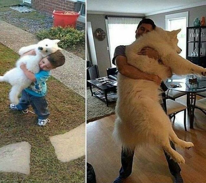 A Quick Reminder That Life Is Full Of Wonderful Moments (40 pics)