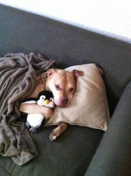 Acid Picdump (113 pics)