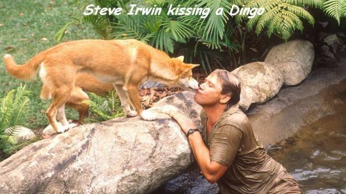 Acid Picdump (113 pics)