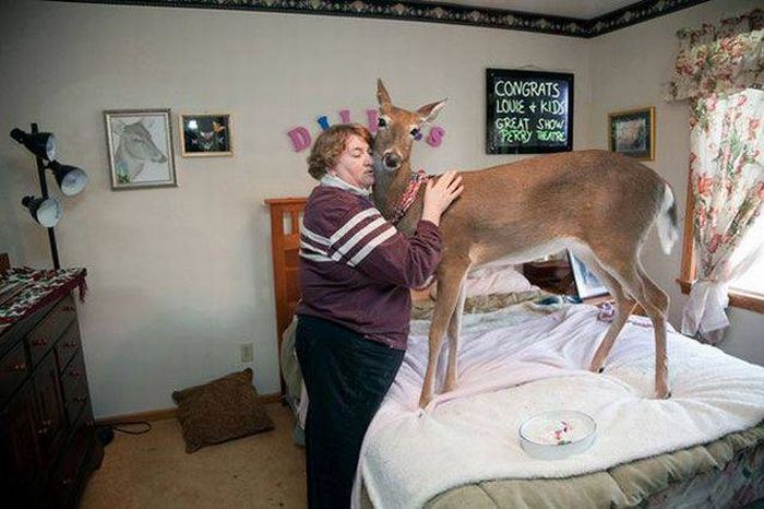 Acid Picdump (113 pics)