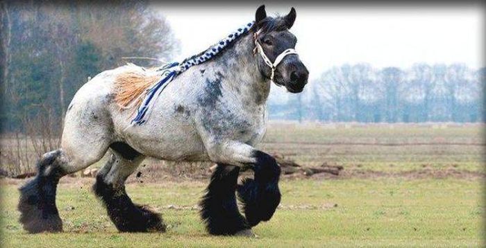 Acid Picdump (113 pics)