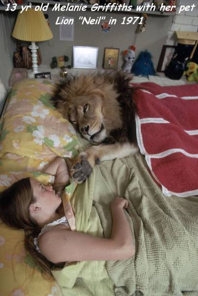 Acid Picdump (113 pics)