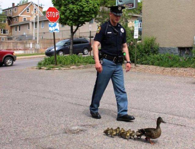 Acid Picdump (113 pics)