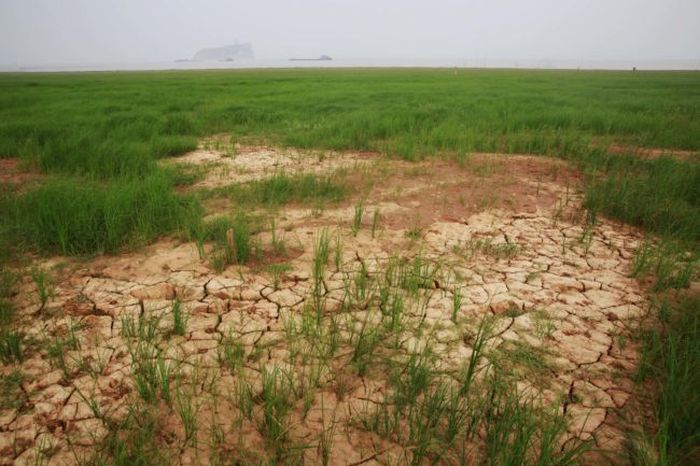 Massive Chinese Lake Dries Up In Just A Matter Of Weeks (5 pics)