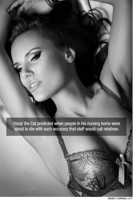 Facts Are Always More Fun When They're Put Together With Sexy Pics (45 pics)