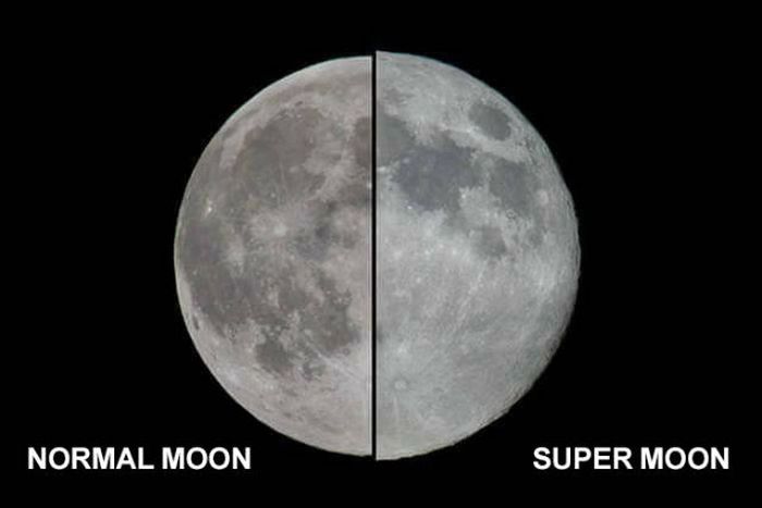 The Best Internet Reactions To The Supermoon (43 pics)