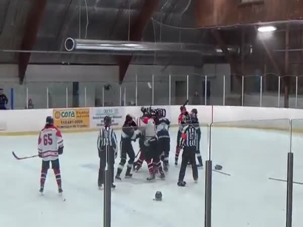 Hockey Ref Punches Player Trainer Punches Ref