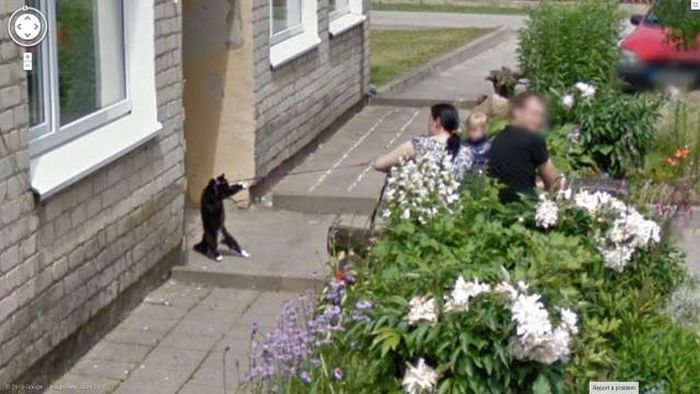 Acid Picdump (105 pics)
