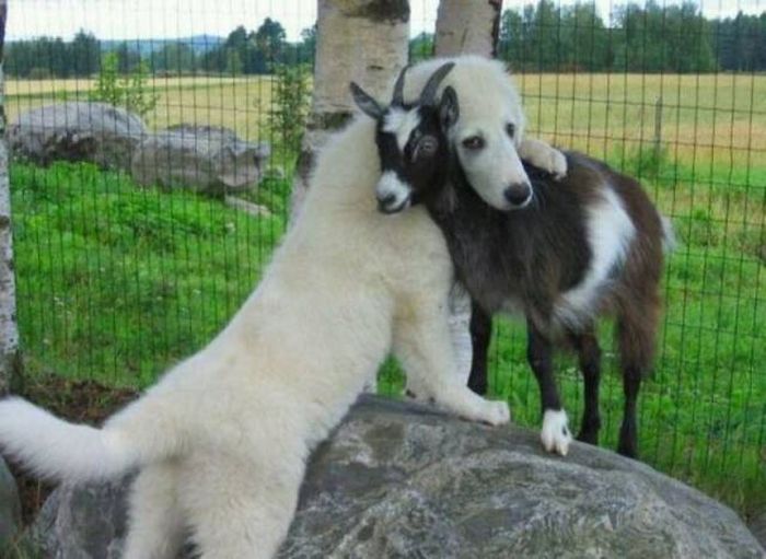 Acid Picdump (105 pics)