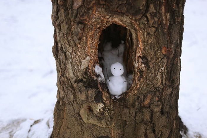 Acid Picdump (105 pics)
