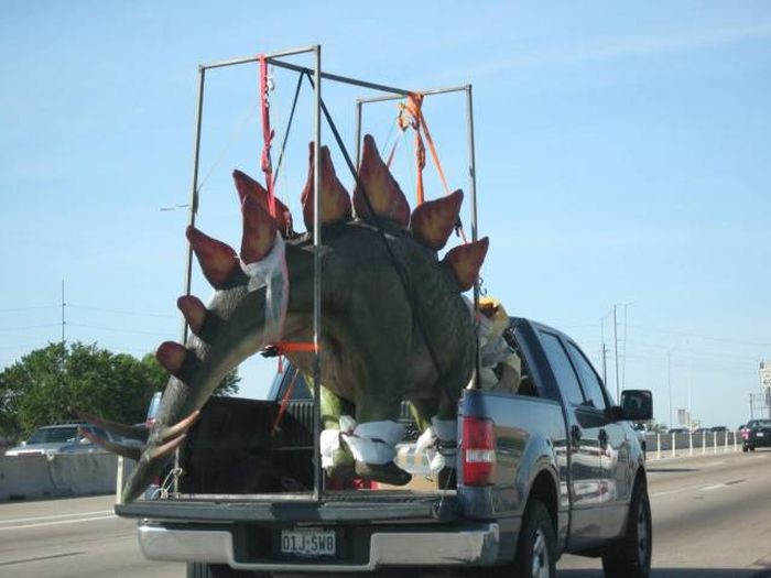 Acid Picdump (105 pics)