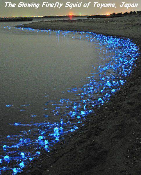 Acid Picdump (105 pics)