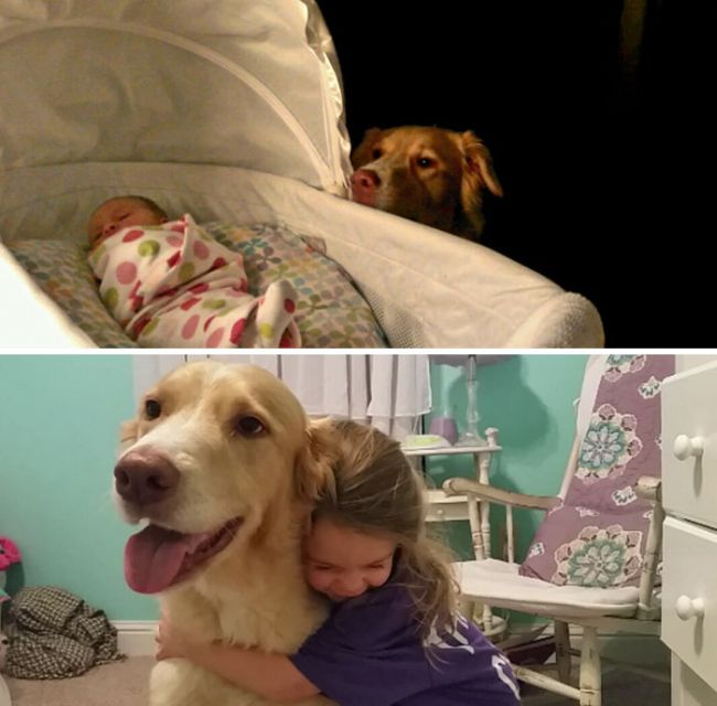 Before And After Pics Of Dogs Growing Up With Their Owners (35 pics)