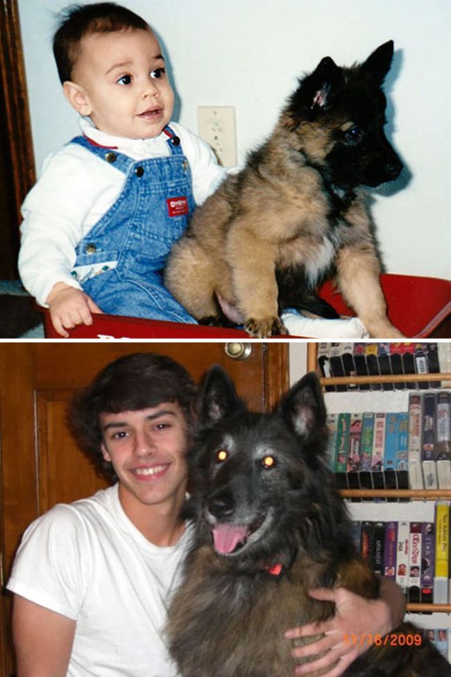 Before And After Pics Of Dogs Growing Up With Their Owners (35 pics)