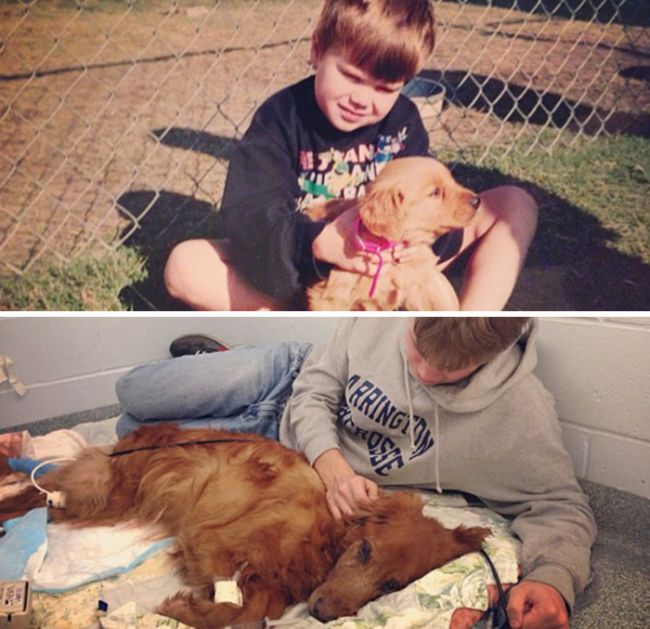 Before And After Pics Of Dogs Growing Up With Their Owners (35 pics)