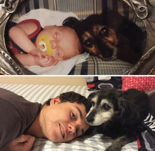 Before And After Pics Of Dogs Growing Up With Their Owners (35 pics)