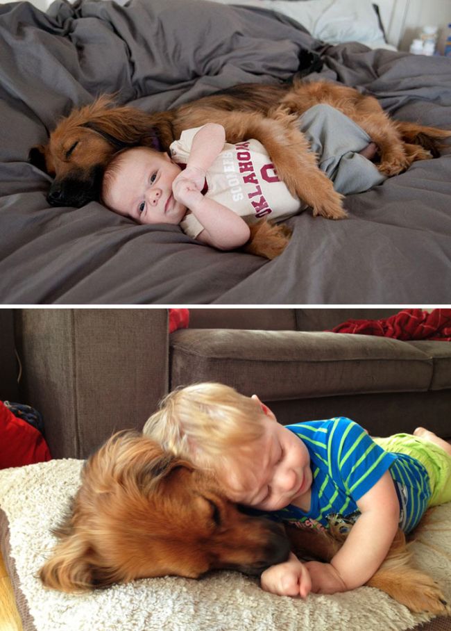 Before And After Pics Of Dogs Growing Up With Their Owners (35 pics)