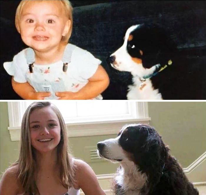 Before And After Pics Of Dogs Growing Up With Their Owners (35 pics)