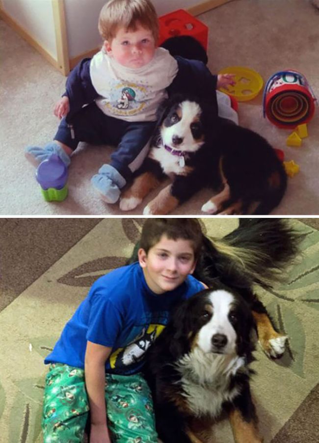 Before And After Pics Of Dogs Growing Up With Their Owners (35 pics)